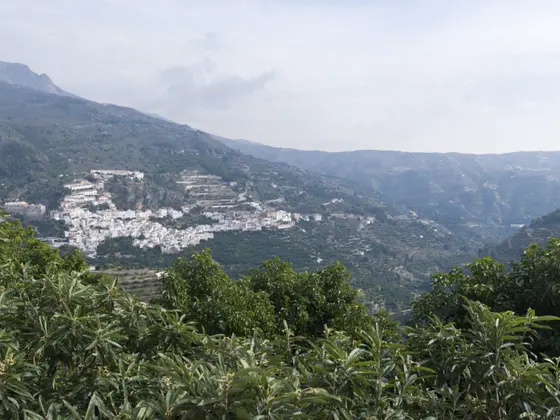 El pueblo blanco de Otívar en la ladera de la sierra, con el valle del Río Verde bajando a la derecha entre montañas y cultivos subtropicales en primer término.