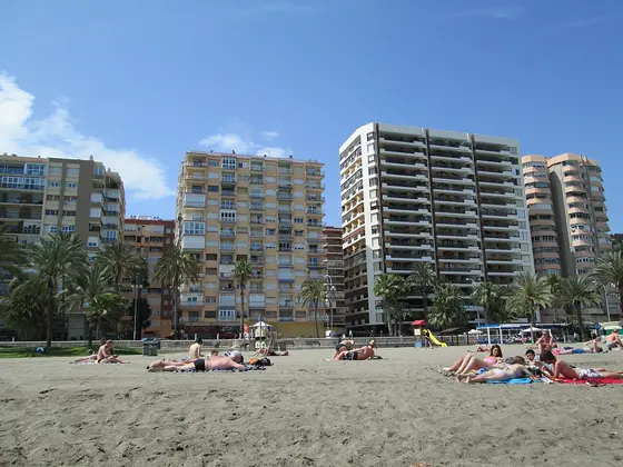 La playa de la Malagueta en un día de sol, con gente tumbada en la arena y, detrás, una fila de palmeras y bloques altos de viviendas.