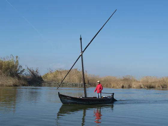 Una barca de vela latina en el agua quieta de la Albufera, con una persona de pie en la popa y cañaverales en la orilla, bajo un cielo azul.
